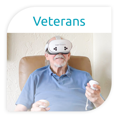 Virtual Reality Veterans